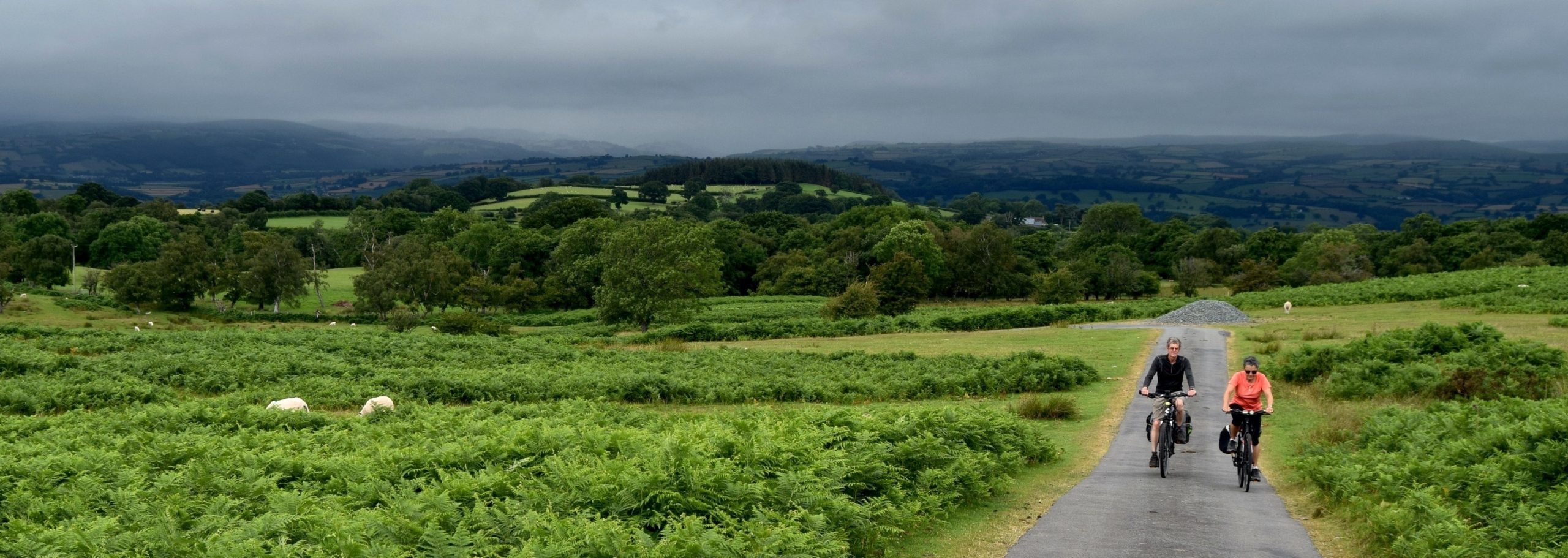 Two cyclists on a country road